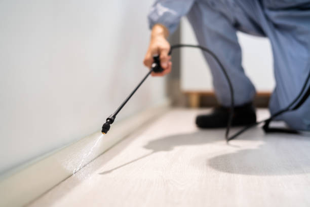 Licensed Cockroach Control service in Schoolcraft, MI - Nex Pest Control
