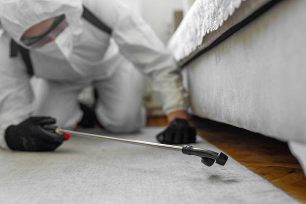 Professional Cockroach Control technician working in Schoolcraft, MI