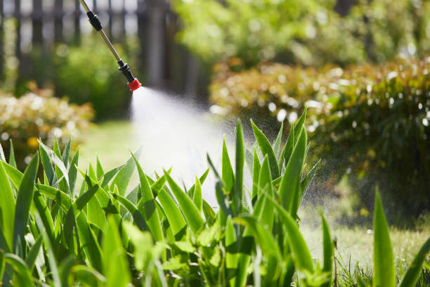 24/7 Emergency Cockroach Control experts in Schoolcraft, MI