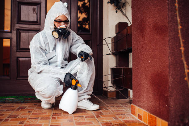 Reliable Cockroach Control contractor in Schoolcraft, MI by Nex Pest Control
