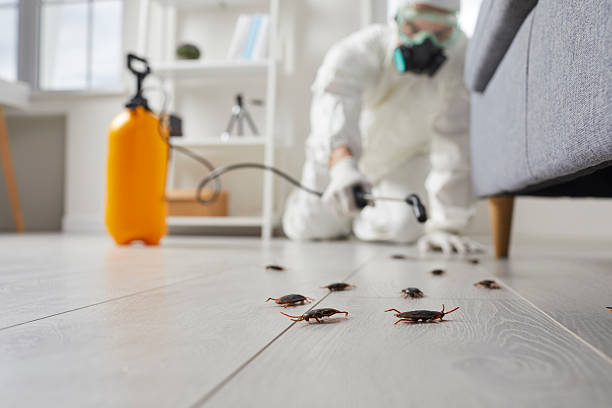 Affordable Cockroach Control solutions in Schoolcraft, MI