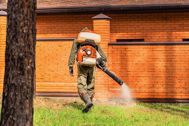 Top rated local Cockroach Control specialists in Schoolcraft, MI